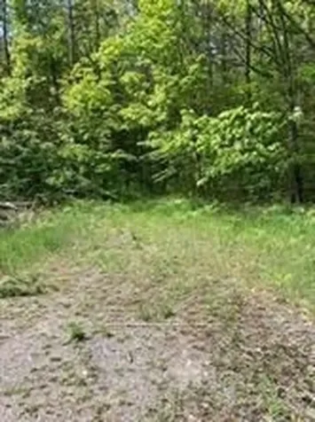 338 Glen Allen Road S Marmora And Lake ON K0K 2M0