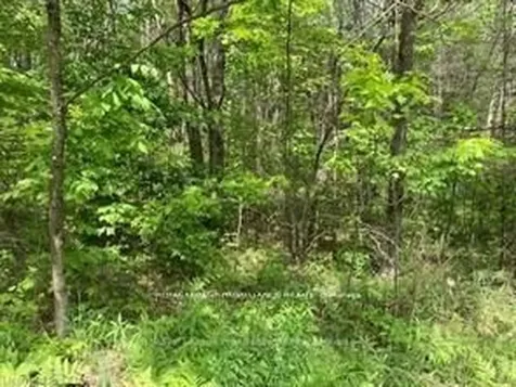 338 Glen Allen Road S Marmora And Lake ON K0K 2M0