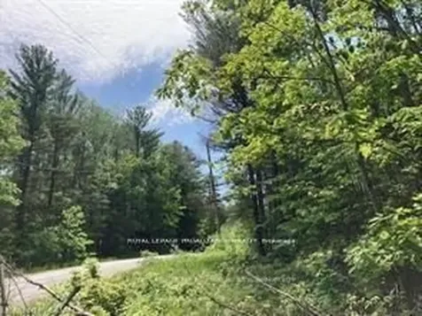 338 Glen Allen Road S Marmora And Lake ON K0K 2M0
