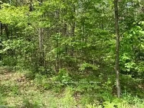 338 Glen Allen Road S Marmora And Lake ON K0K 2M0