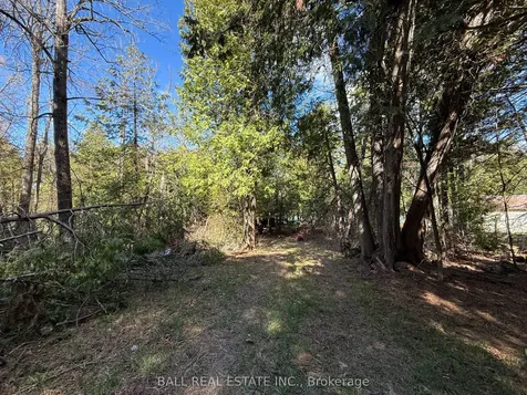 127 Fire Route 42 N/a Trent Lakes ON K0L 1J0