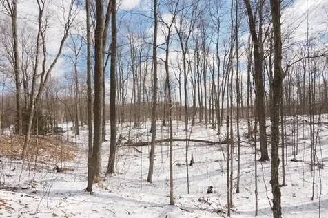 4436 Concession Road 11 Road Puslinch ON L0P 1J0