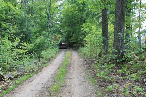 45 Fire Route 223 N/a Trent Lakes ON K0L 1J0