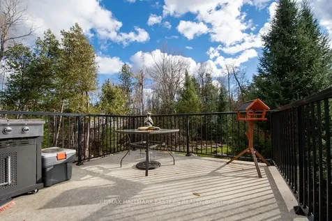 3468 County Road 36 N/a Trent Lakes ON K0L 2H0