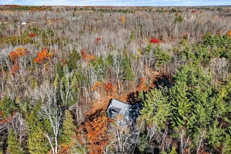 299 Fire Route 10a N/a North Kawartha ON K0L 3G0