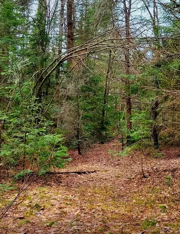 2650 Nipissing Road S Magnetawan ON P0A 1P0