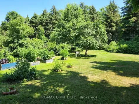 163 Main Street Prince Edward County ON K0K 1G0