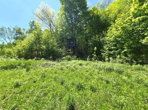 2147 Marlbank Road Tweed ON K0K 3J0