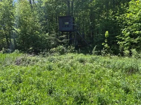 2147 Marlbank Road Tweed ON K0K 3J0