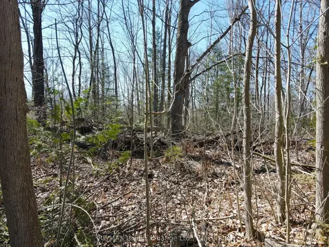 83 Silver Lake Crescent South Bruce Peninsula ON N0H 2G0