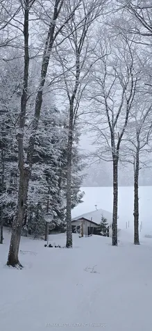 1091 Mcarthur Point Road Lake Of Bays ON P0B 1A0