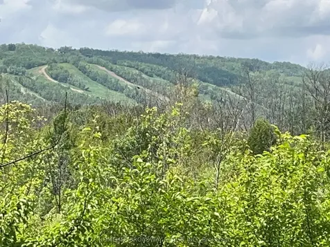 18 Beckwith Lane Blue Mountains ON L9Y 3B6