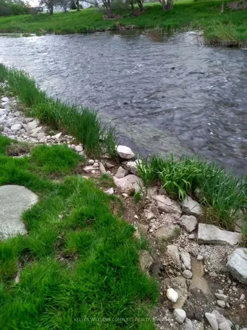 26 Thomas Street Arran-elderslie ON N0H 1A0