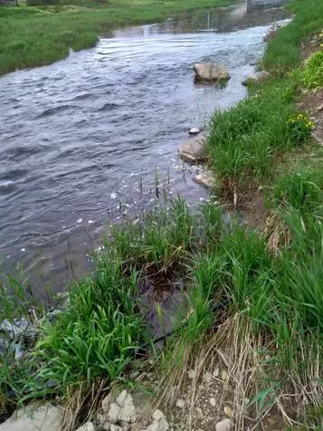 26 Thomas Street Arran-elderslie ON N0H 1A0