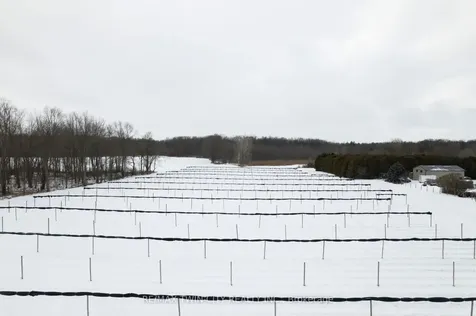 159 Golf Links Road Brant ON N0E 1A0