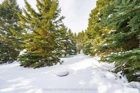 6803 Sixth Line Centre Wellington ON N0B 1J0