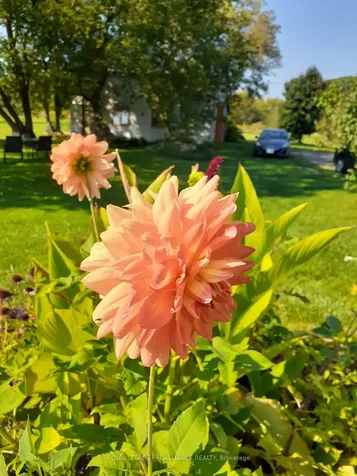 1440 Airport Parkway Tyendinaga ON K8N 4Z6