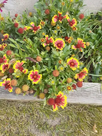 1440 Airport Parkway Tyendinaga ON K8N 4Z6