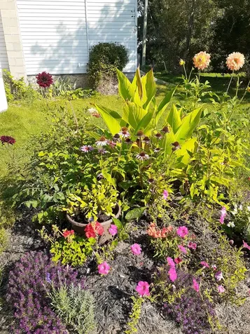 1440 Airport Parkway Tyendinaga ON K8N 4Z6