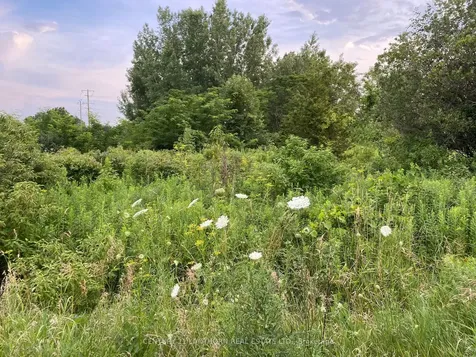 Lot 29 Mcdonald Drive Prince Edward County ON K0K 2T0