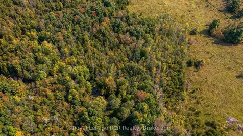 317506 Highway 6 & 10 N/a Georgian Bluffs ON N0H 1G0