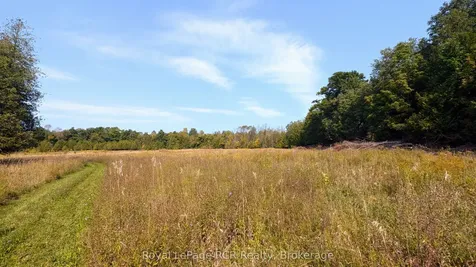 317506 Highway 6 & 10 N/a Georgian Bluffs ON N0H 1G0