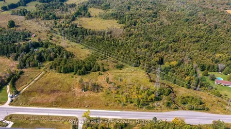 317506 Highway 6 & 10 N/a Georgian Bluffs ON N0H 1G0