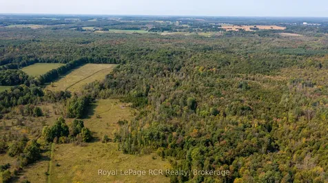 317506 Highway 6 & 10 N/a Georgian Bluffs ON N0H 1G0