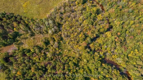 317506 Highway 6 & 10 N/a Georgian Bluffs ON N0H 1G0