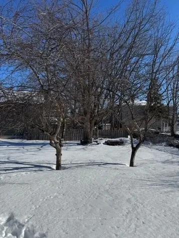 0 Bridge Street Carleton Place ON K7C 3H5