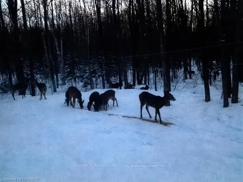 302446 Grey Road 170 N/a Georgian Bluffs ON N0H 2K0