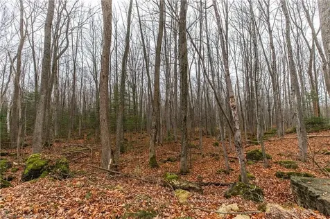 302446 Grey Road 170 N/a Georgian Bluffs ON N0H 2K0