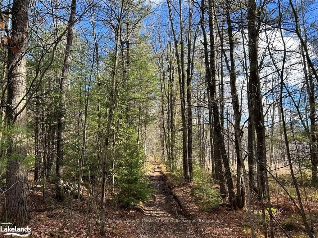 Lot 6 Southwood Road Gravenhurst ON P0E 1G0
