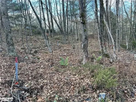 Lot 6 Southwood Road Gravenhurst ON P0E 1G0