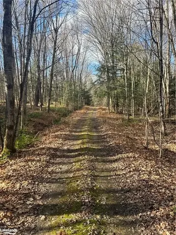 Lot 6 Southwood Road Gravenhurst ON P0E 1G0