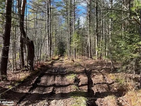 Lot 6 Southwood Road Gravenhurst ON P0E 1G0