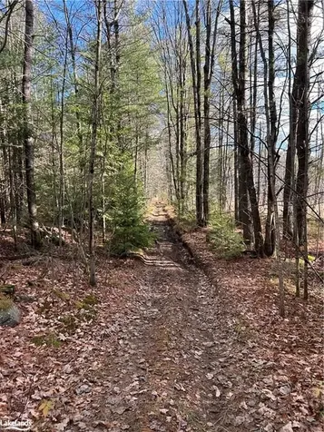 Lot 6 Southwood Road Gravenhurst ON P0E 1G0