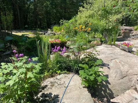 74 Carling Bay Road W Carling ON P0G 1G0