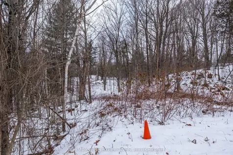 Ptlt 15 Maple Woods Drive Central Frontenac ON K0H 2P0