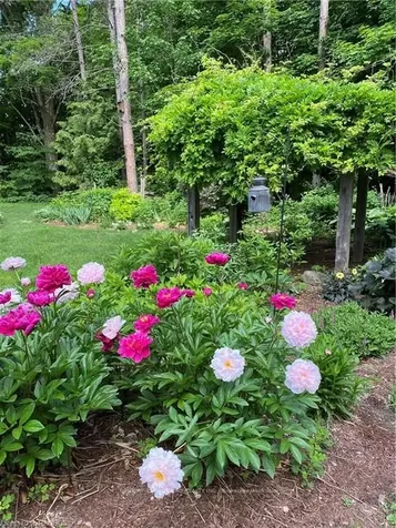 1626 Concession 14 N/a Brockton ON N0G 1J0