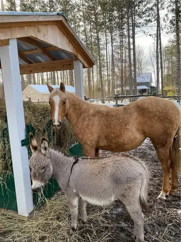 1626 Concession 14 N/a Brockton ON N0G 1J0