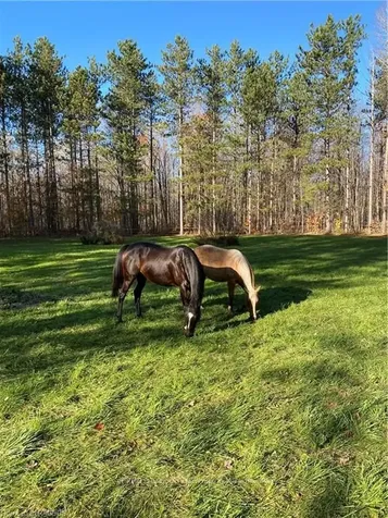 1626 Concession 14 N/a Brockton ON N0G 1J0