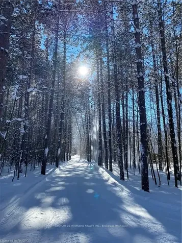 1626 Concession 14 N/a Brockton ON N0G 1J0