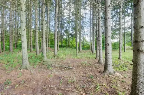 480 10th Concession Road Norfolk County ON N0E 1G0