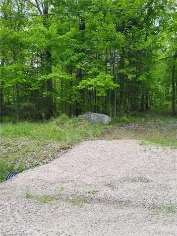 307 Ski Hill Road Nipissing ON P0H 1Z0