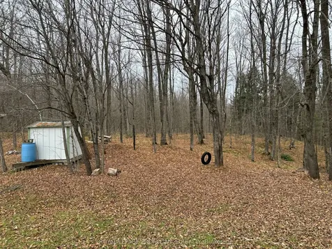 175 Northern Avenue Galway-cavendish And Harvey ON K0M 1A0