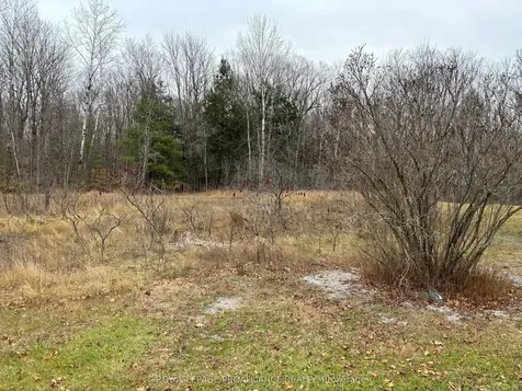 175 Northern Avenue Galway-cavendish And Harvey ON K0M 1A0