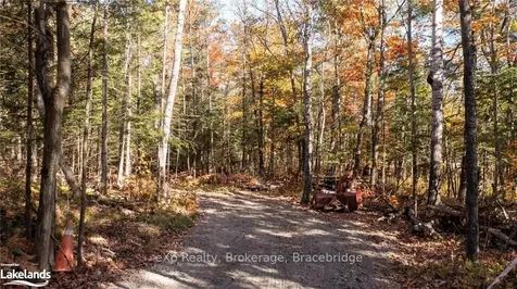 411 Highway 559 N/a Carling ON P0G 1G0