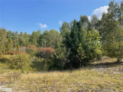 0 Lamar Drive Algonquin Highlands ON K0M 1S0