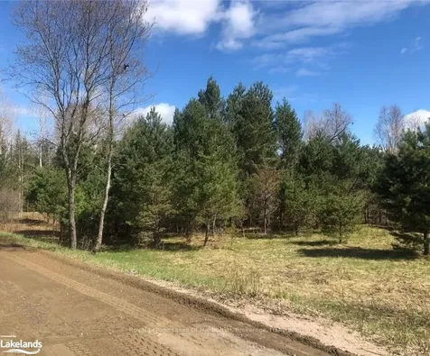 0 Lamar Drive Algonquin Highlands ON K0M 1S0